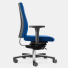 Löffler Figo FG 195 Rückenlehne bis 65cm